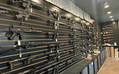 The History of Firearms